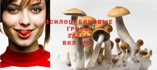 прущие крисы Балабаново